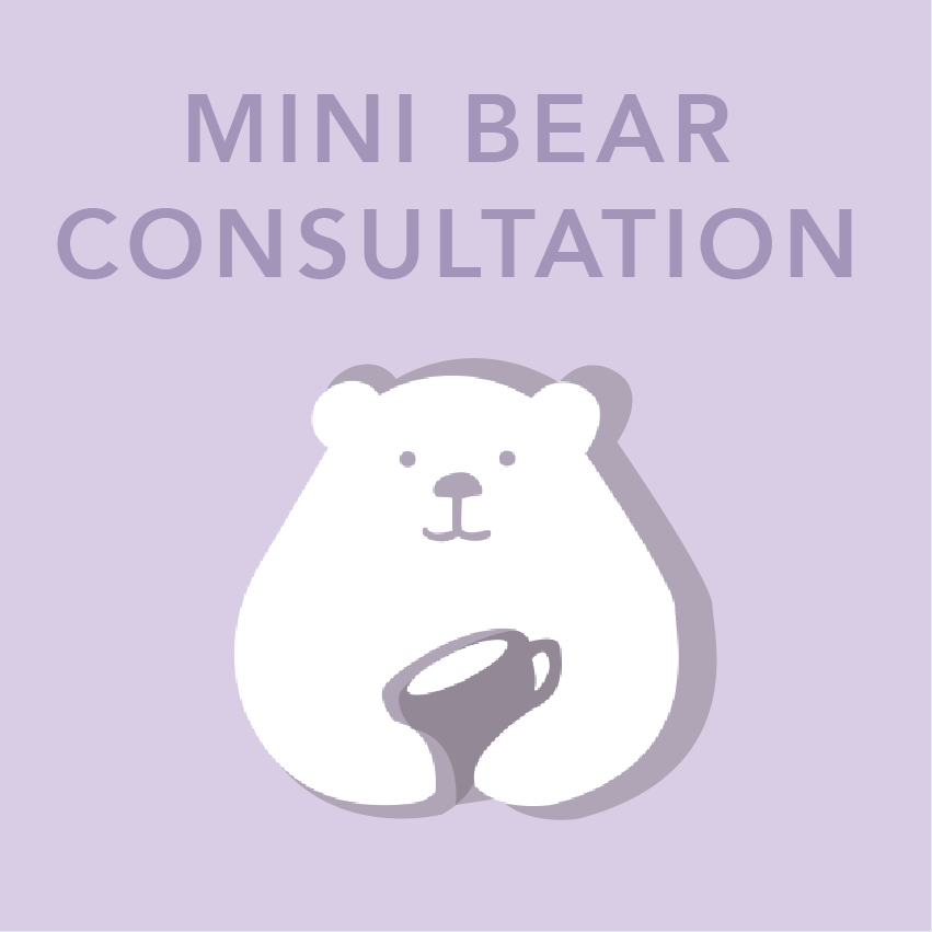 MINI BEAR CONSULTATION