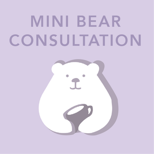 MINI BEAR CONSULTATION